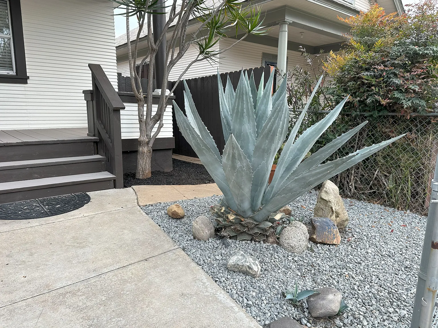 1695 Logan Ave — Photo 4