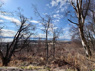 2740 Kestrel Cir, Homer, AK, 99603