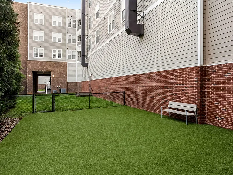 Lenox Village - Dog Park