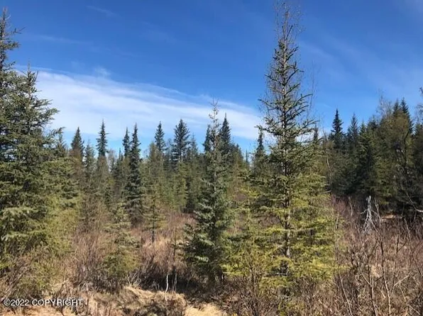 66384 Markoka Ave, Anchor Point, AK 99556