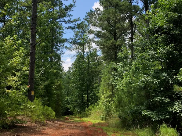 15 High Meadow Trl, Cleveland, GA 30528