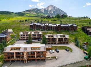 20 Hunter Hill Rd #207, Crested Butte, CO 81225