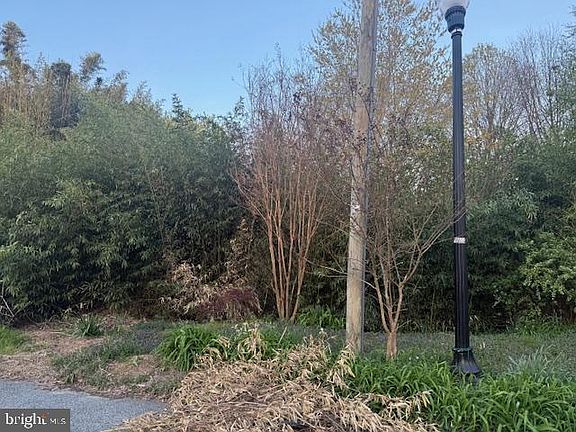2nd image of 0 Hill St