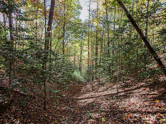 3rd image of 99999 Watia Rd