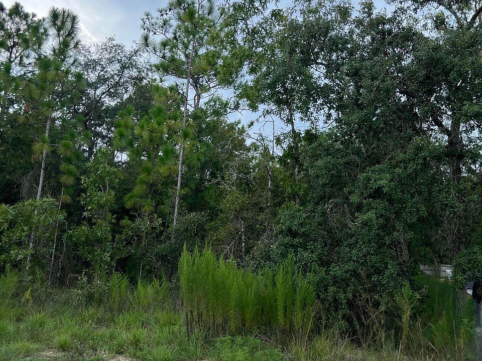 2nd image of 0 Hummingbird Rd