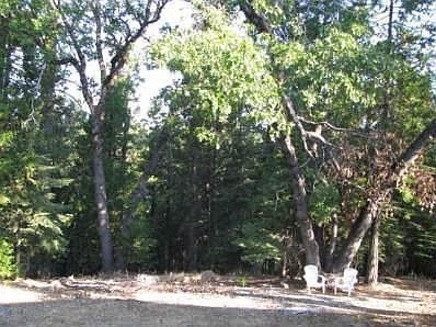 4th image of 19501 Forest View Cir
