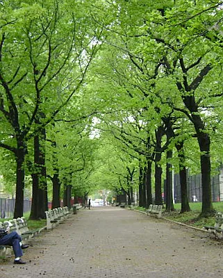 Rented by City Vista Inc | media 31