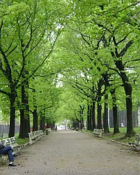 Rented by City Vista Inc