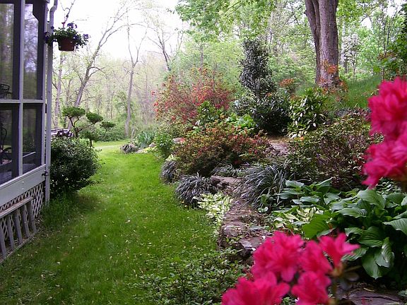 Landscaped Yard