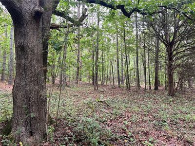 300 Timberwood Rd NW #3, White, GA, 30184