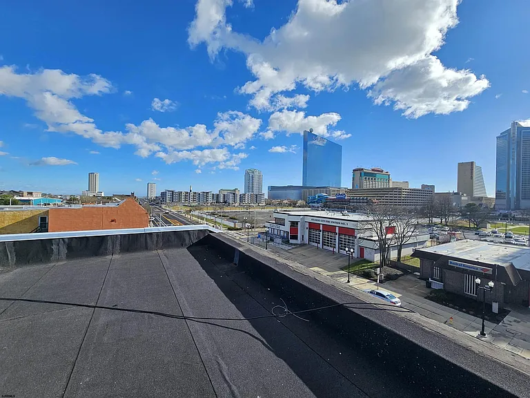 919 Atlantic Ave — Photo 10