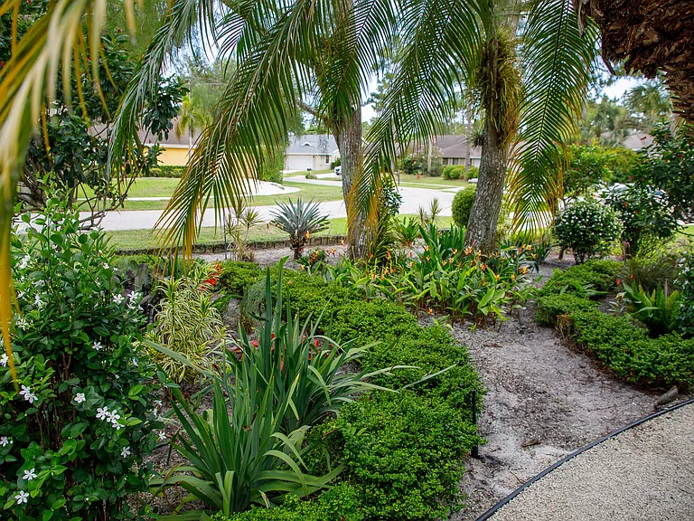 900 Cosmos Ct — Photo 5