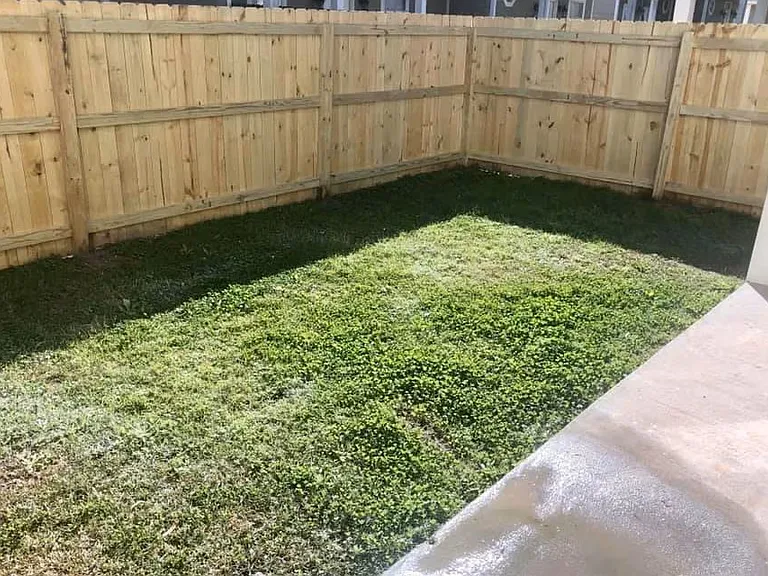 1338 Tropical Cv — Photo 19