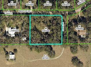 27060 Redfox Dr, Brooksville, FL 34602