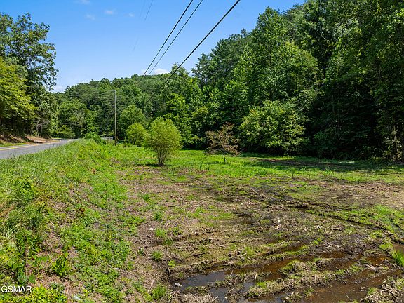 5th image of 0 Jones Cove Rd