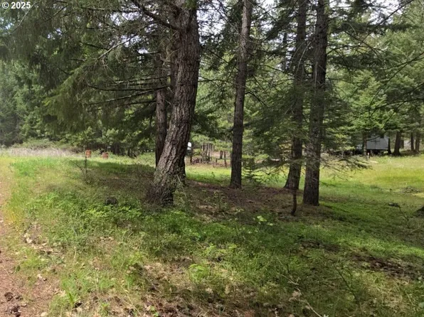 22 Canyon Loop Rd, Lyle, WA 98635