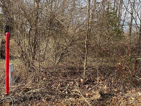 4th image of 268 Rolling Meadows Dr