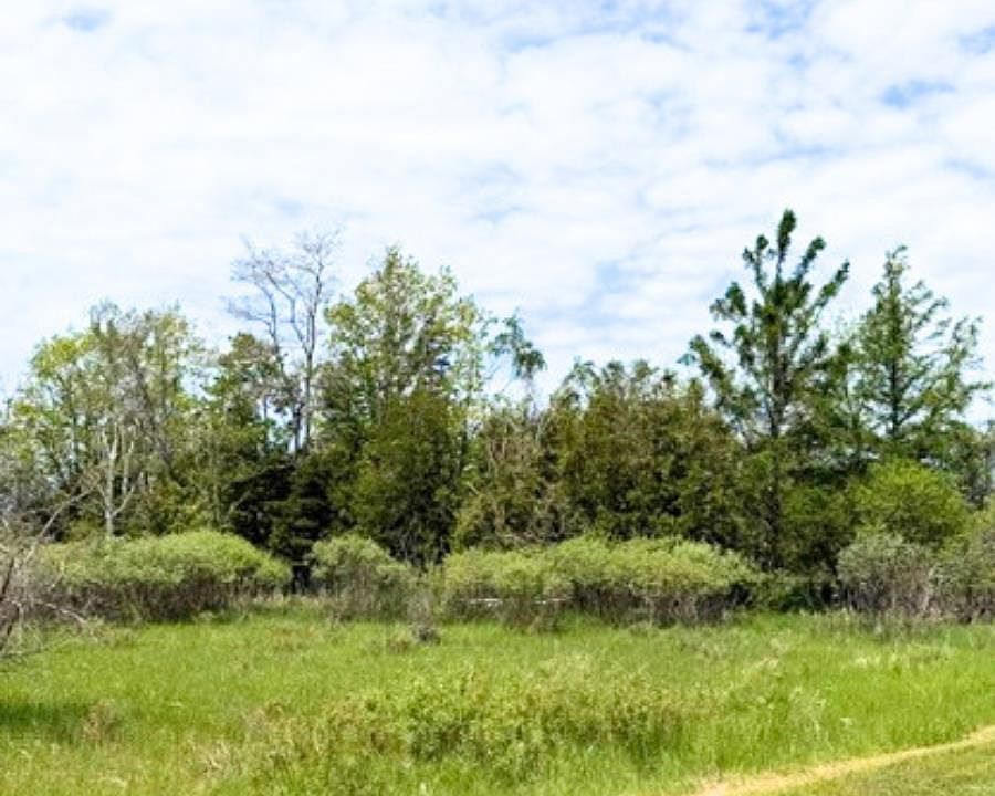 2nd image of Vl W Fairway