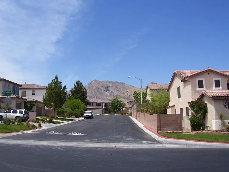 3316 Lacebark Pine St — Photo 34