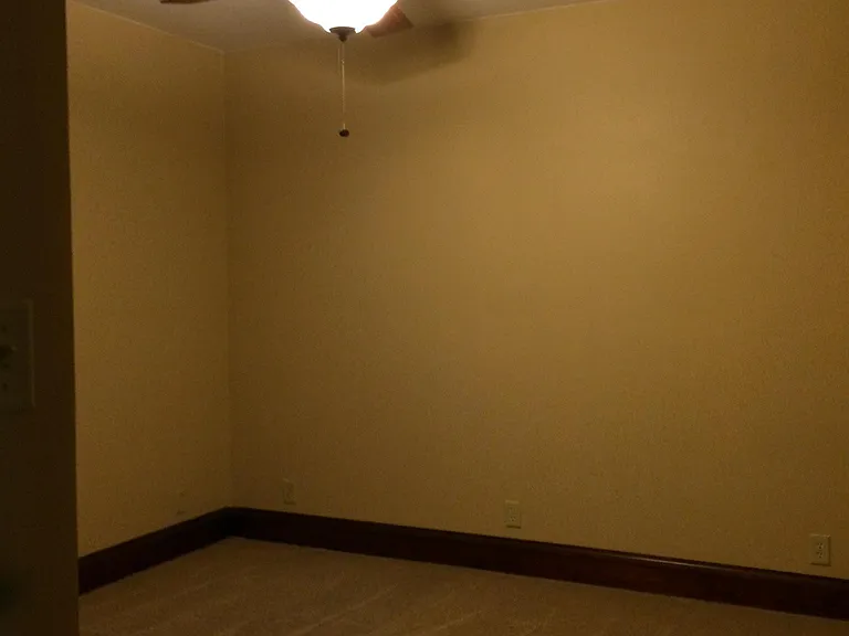 Back bedroom