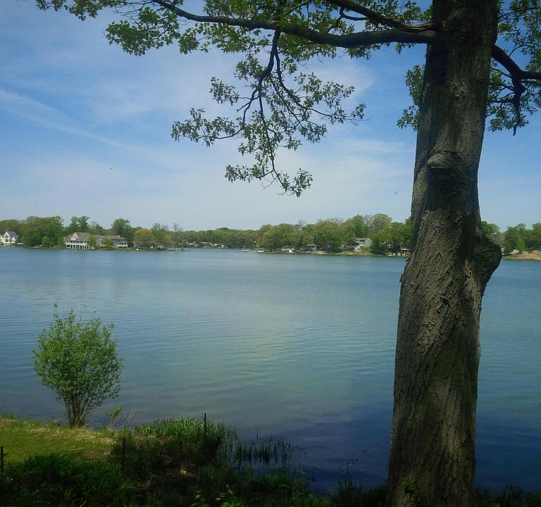 2nd image of 11616 Spring Point Dr