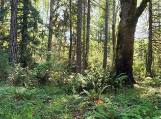 11 Xx NE, Belfair, WA 98528