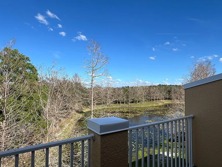 7367 Black Walnut Way — Photo 13