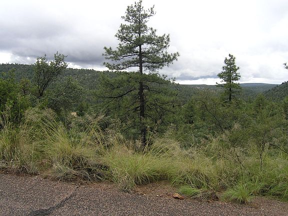 5th image of 9888 W Coyote Dr