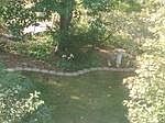 2nd image of 707 Joseph Dr