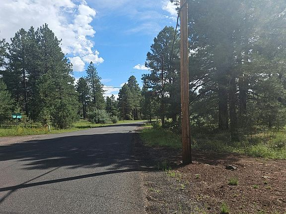 5th image of 196 N Spitz Spring Rd