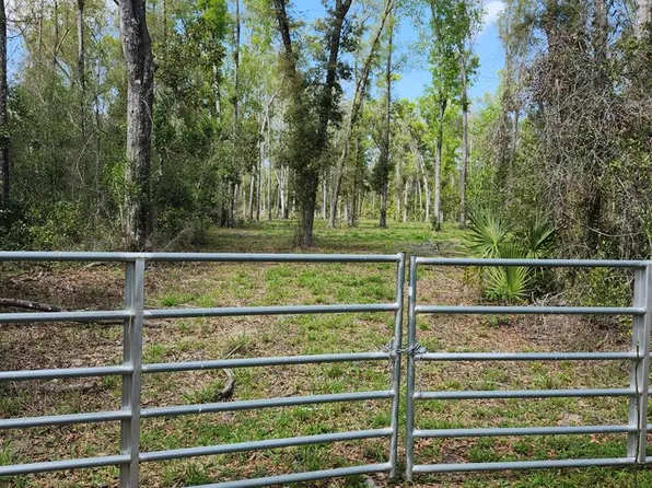 Unassign NE 575th St, Old Town, FL 32680