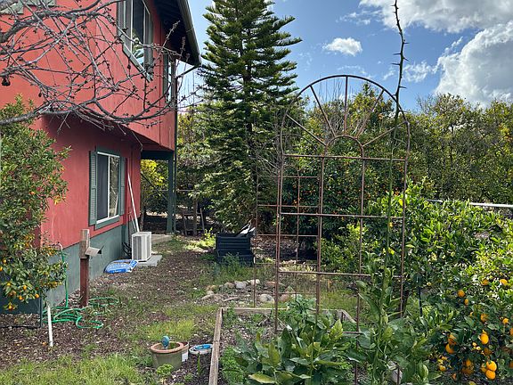 2479 Fordyce backyard with fruit trees and room for gardening