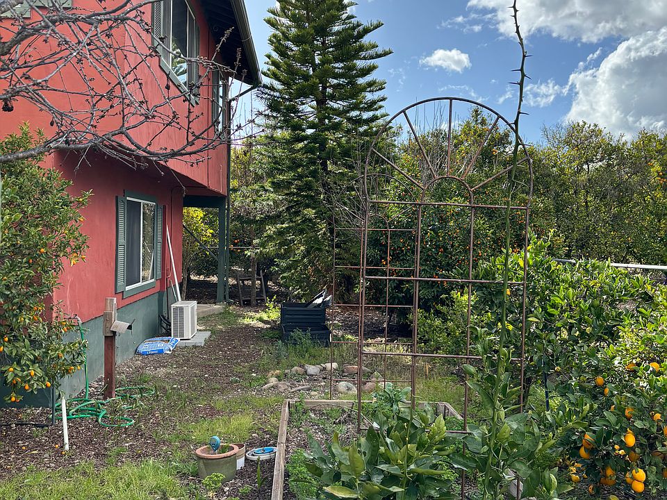 2479 Fordyce backyard with fruit trees and room for gardening