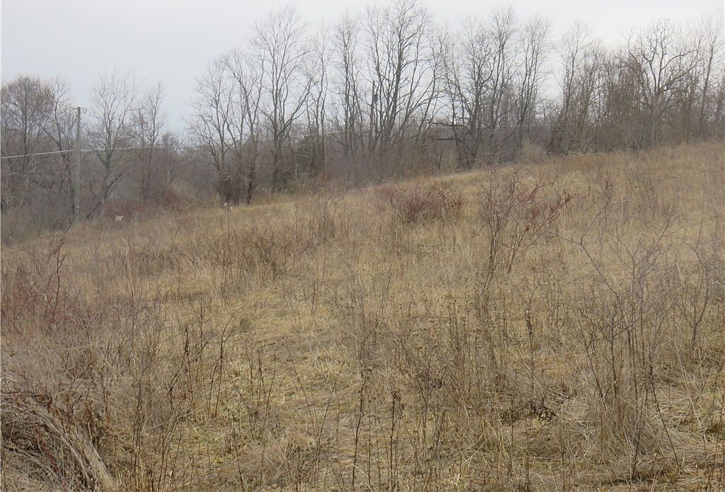 0 Hayes Rd, Montour Falls, NY 14865 Zillow