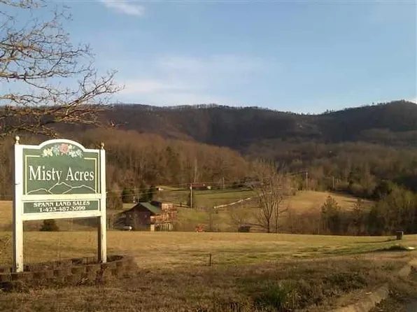 2520 Schisandra Ln, Cosby, TN 37722