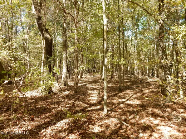 2 N Crockett Rd Lot 2, Senatobia, MS 38668