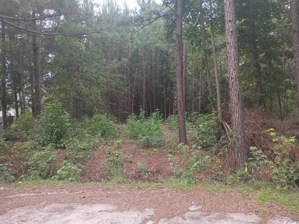 Lot 12-D McGregor St., Lake City, SC 29560