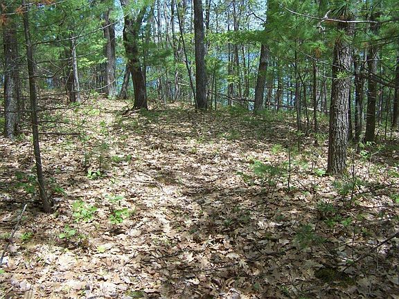 4th image of Red Pine Dr Lot 185