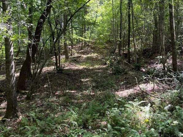 0 Highway 120, Tallapoosa, GA 30176
