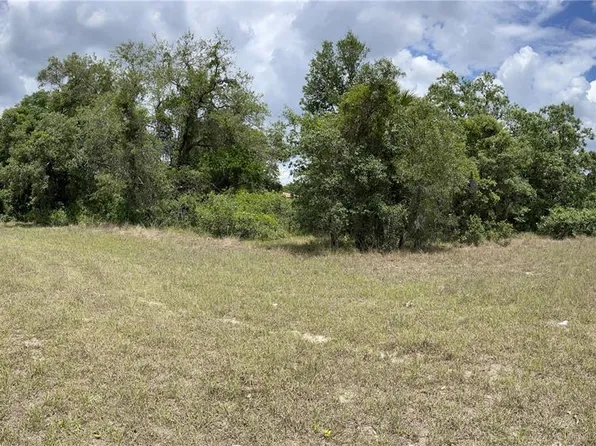 2290 Gaucho Ave, Spring Hill, FL 34608