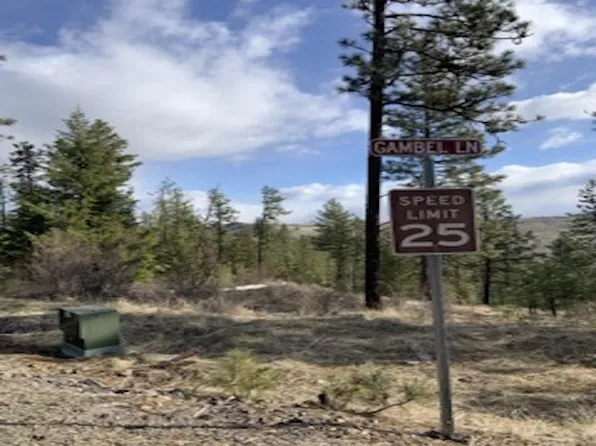 31755 Gambel Ln E, Davenport, WA 99122