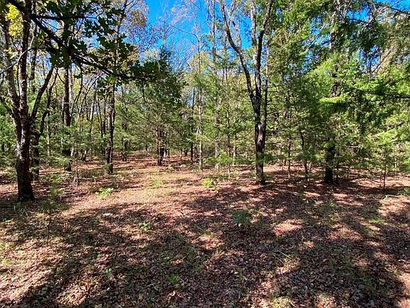 5th image of 2721 County Road 155