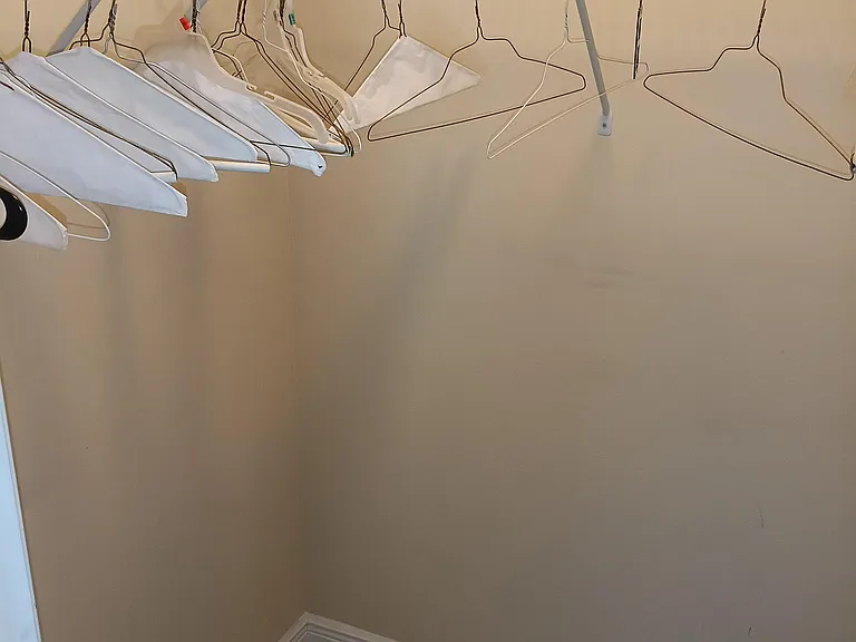Walk-in closet with carpeted flooring and a full-length wire shelf and hanging rod for everyday wardrobe storage.