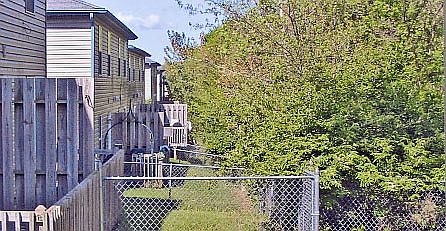 2nd image of 2305 Live Oak Ln