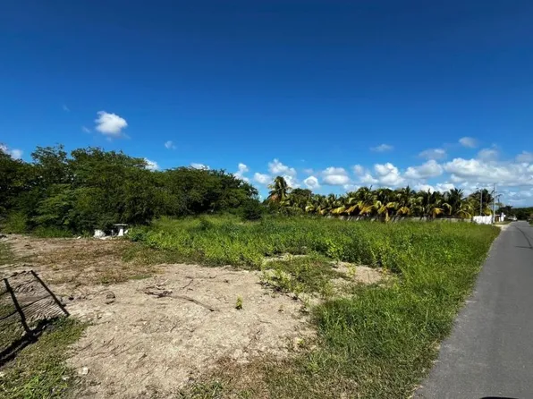 Lote 12 A Bo Jauca Calle #6, Santa Isabel, PR 00757