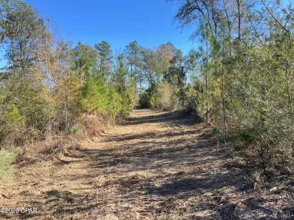 0 Arrant Rd, Westville, FL 32464
