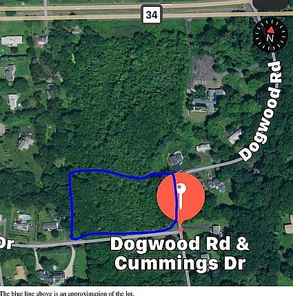 5th image of Cummings And Dogwood