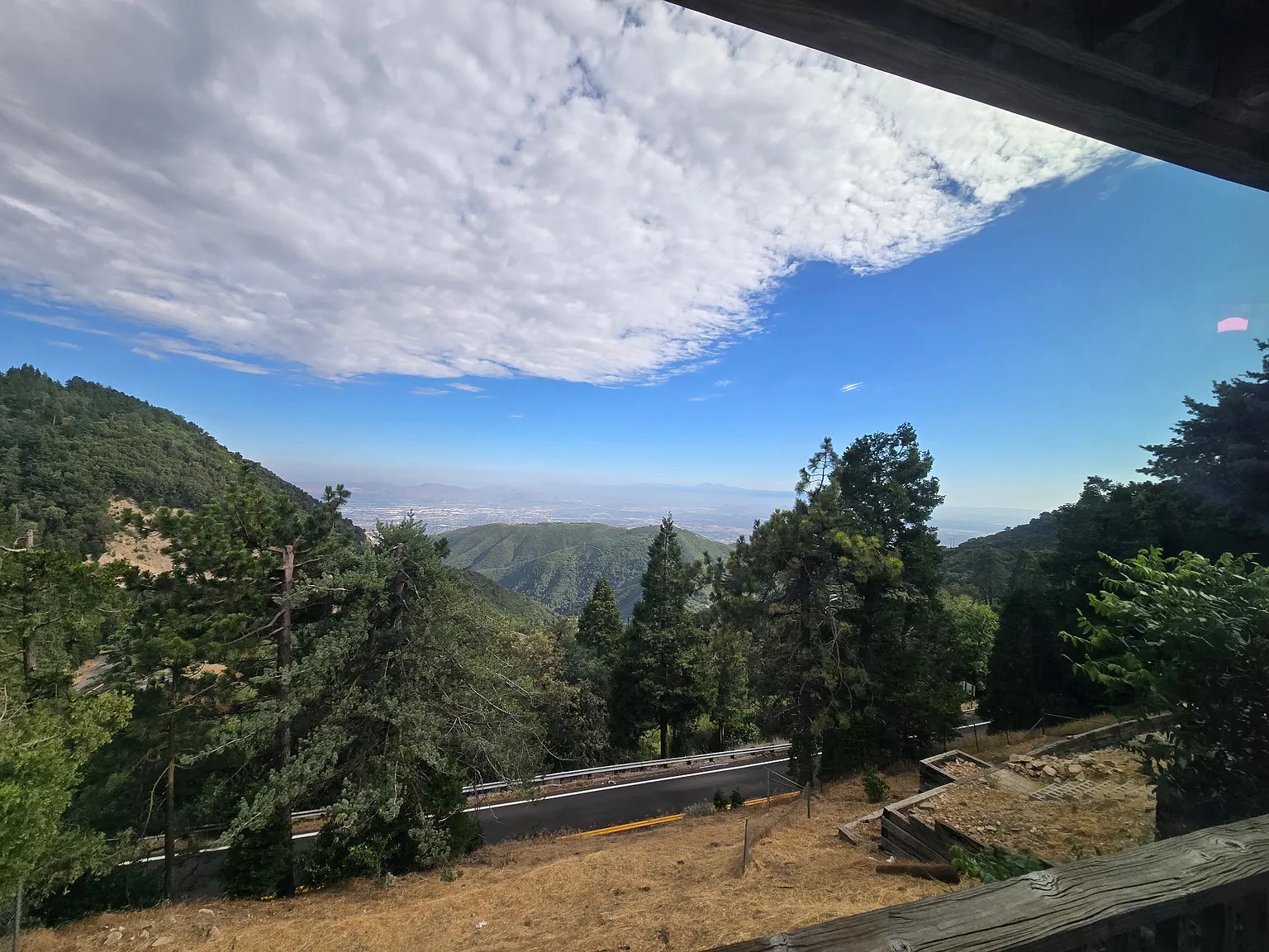 1 bed, 500 sqft, $1,350 — Photo 2
