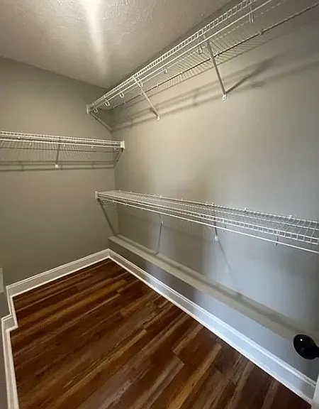 226 Azalea Dr — Photo 6
