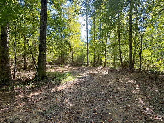 3rd image of 0 County Road 232 #B